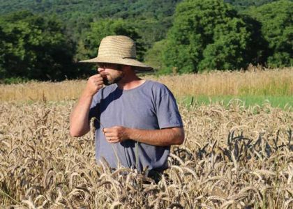 Against the Grain: Growing a Small-scale Business Image